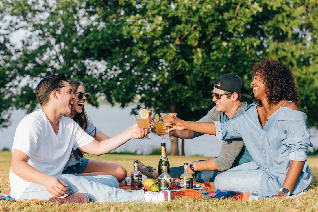 Friends toasting cocktails outdoors on a summer picnic — Brody's Crafted Cocktails for 4th of July entertaining