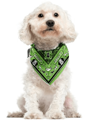 Brody's Pet Bandana
